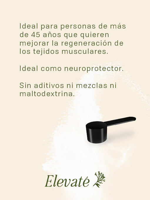 CREATINA MONOHIDRATADA