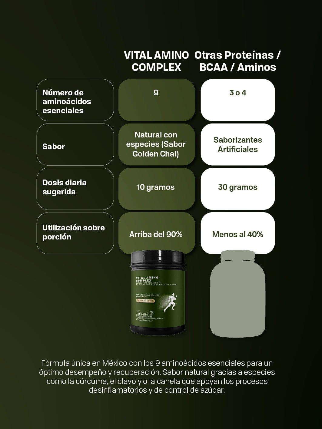 VITAL AMINO COMPLEX - GOLDEN CHAI (PROTEIN POWDER)