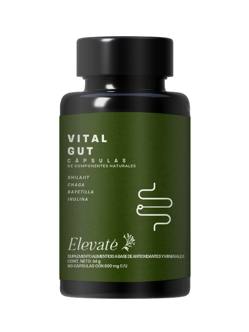 VITAL GUT CAPSULES