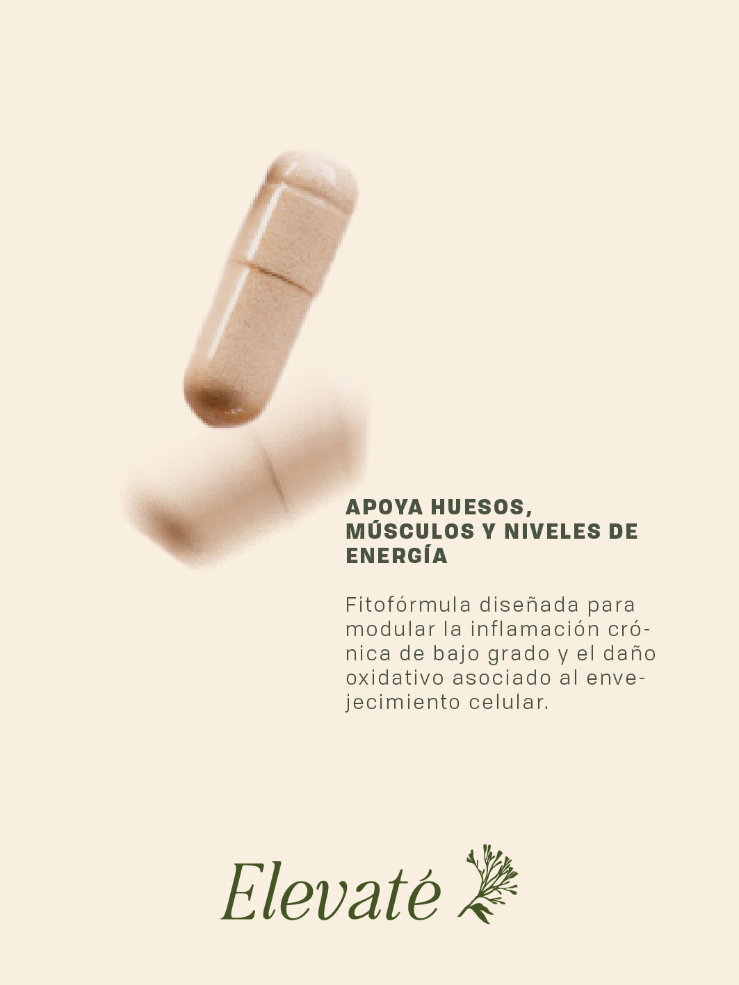 RESVERATROL + CÚRCUMA