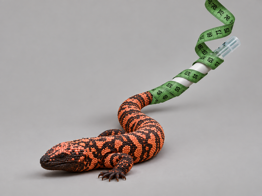 EL GIRO: UN LAGARTO, UNA HORMONA Y LO QUE LOS GLP 1 NO RESUELVEN