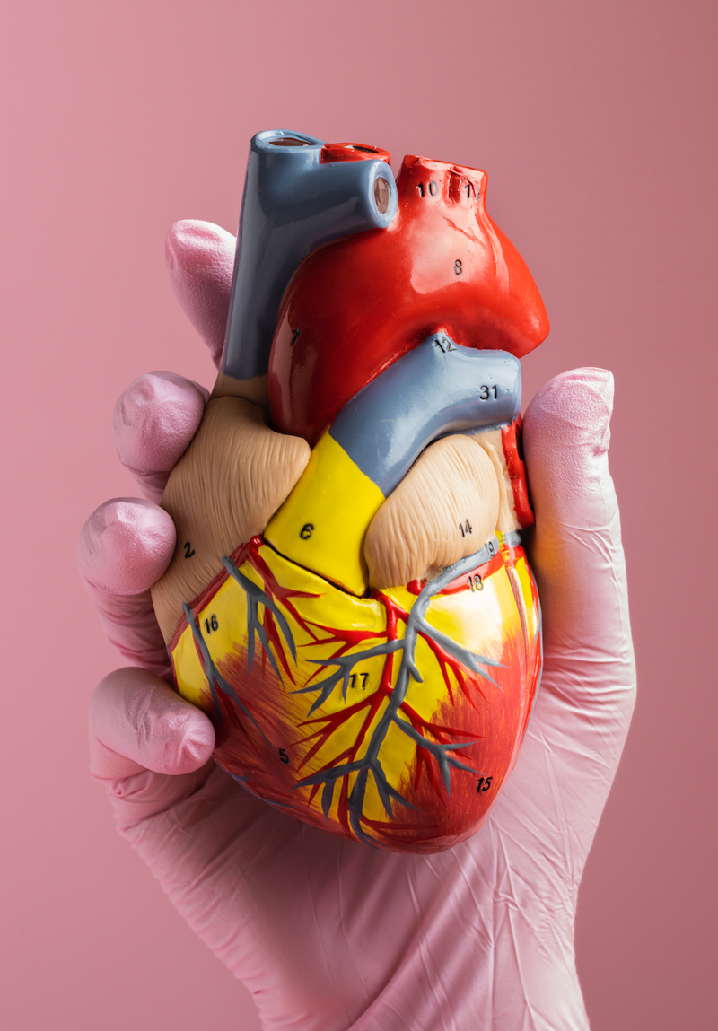 Salud cardiovascular en México: el origen está en el metabolismo