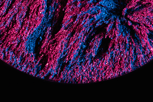 El aminograma: el mapa metabólico oculto en tus proteínas y en tu sangre