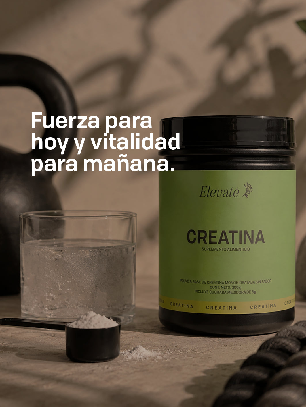 CREATINA MONOHIDRATADA