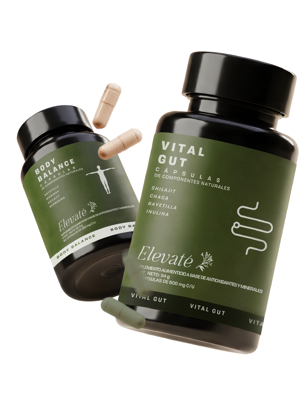 BODY BALANCE + VITAL GUT DUO
