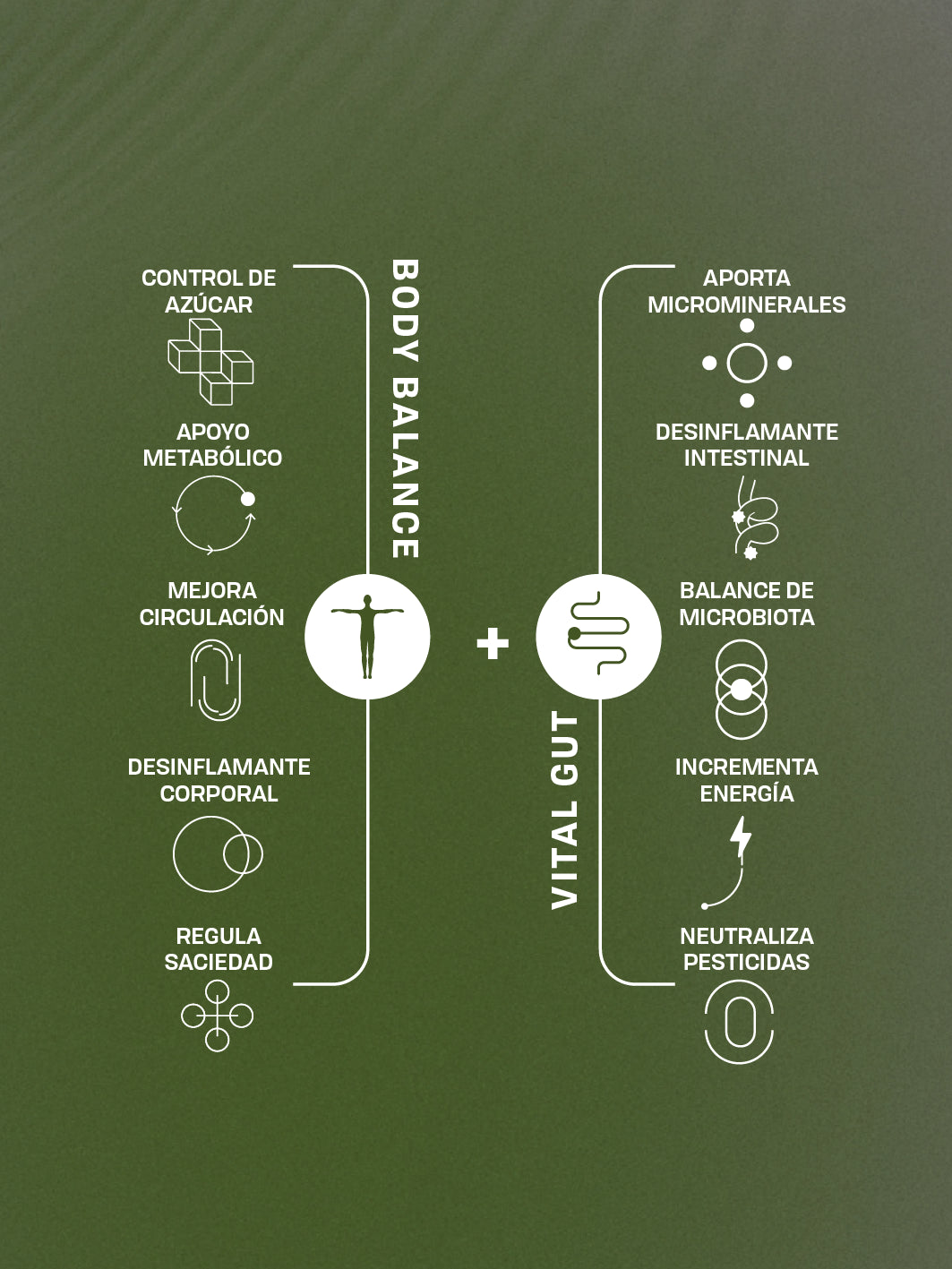 BODY BALANCE + VITAL GUT DUO