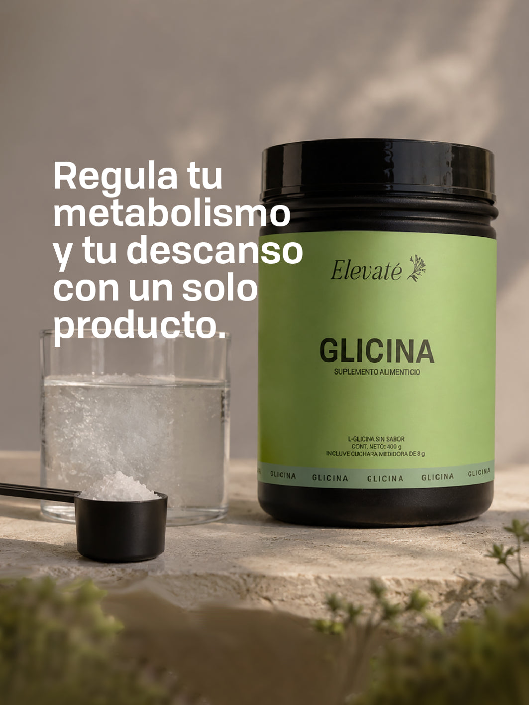 GLICINA