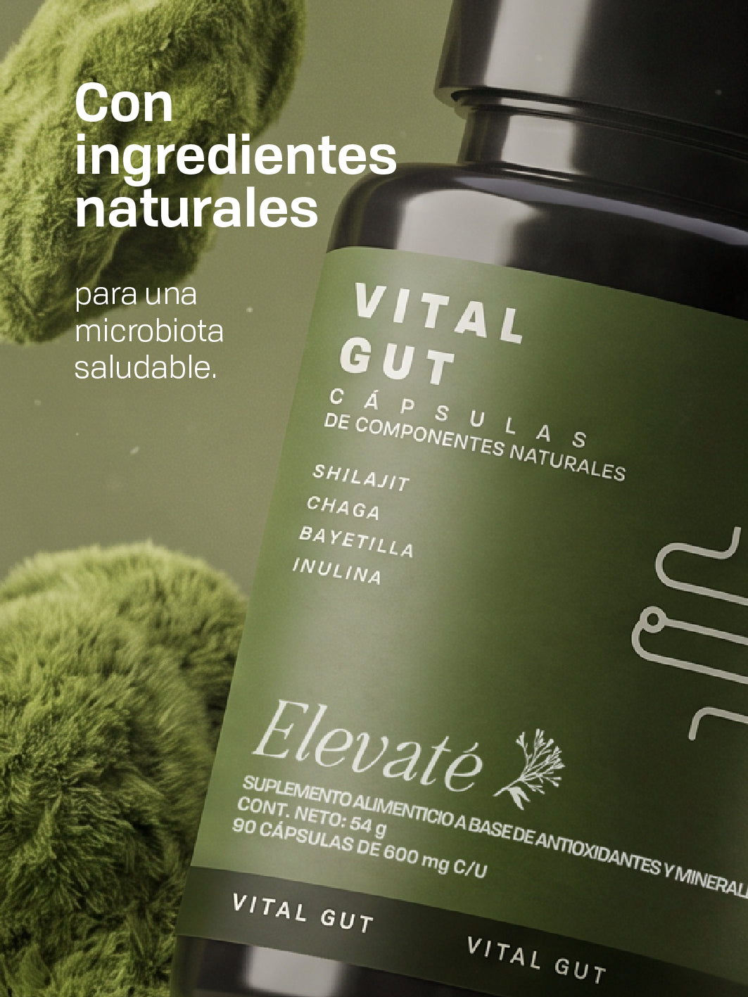 VITAL GUT CAPSULES