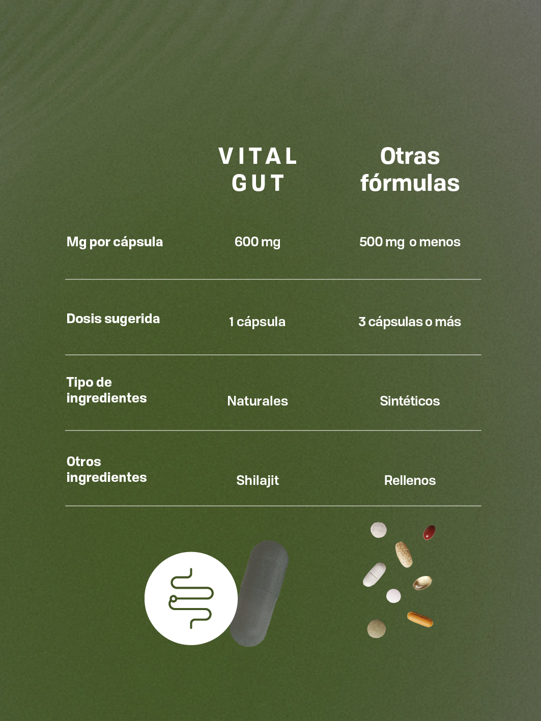 VITAL GUT CAPSULES
