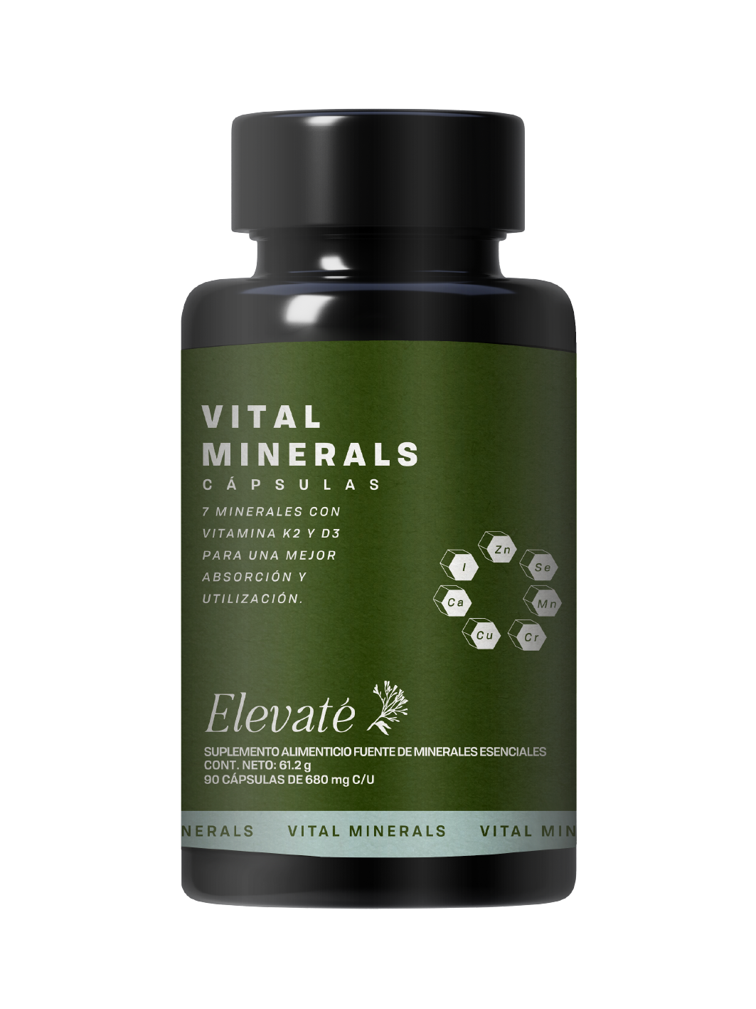 VITAL MINERALS