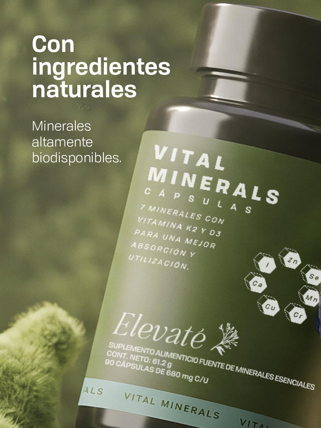 VITAL MINERALS