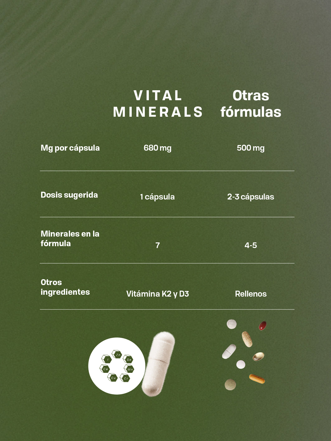 VITAL MINERALS