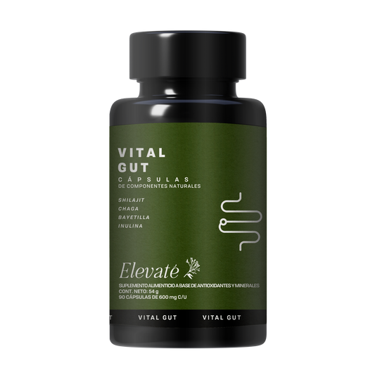 VITAL GUT CAPSULES